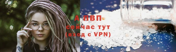 ПСИЛОЦИБИНОВЫЕ ГРИБЫ Богородск