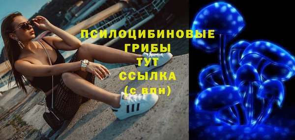 гидра Белоозёрский