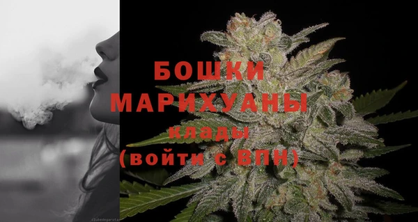 гидра Белоозёрский