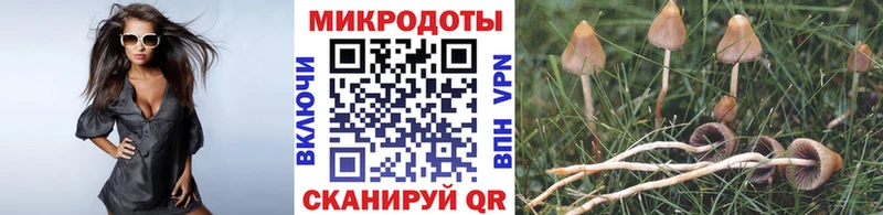 Псилоцибиновые грибы Psilocybe  kraken вход  Горняк 